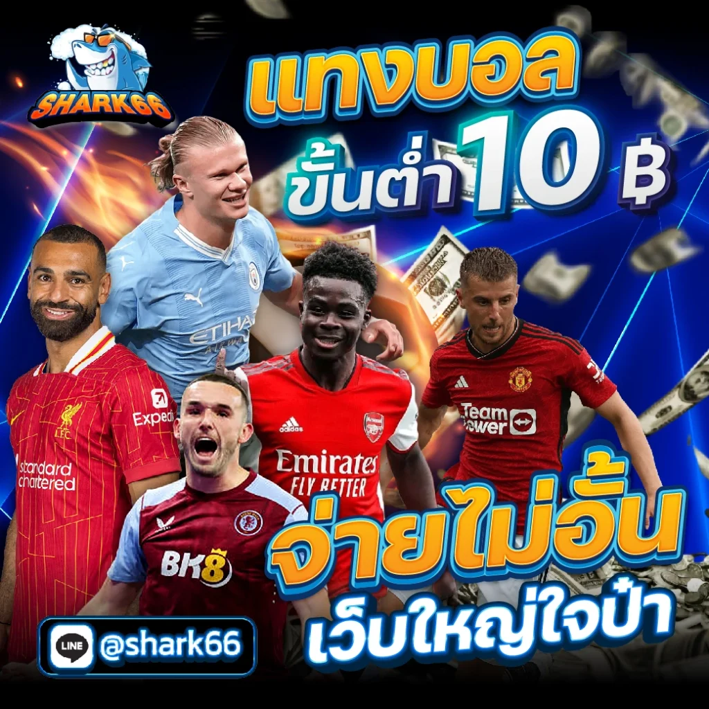 Betflix USA คาสิโนออนไลน์ชั้นนำ ระบบทดลองเล่นฟรี เล่นได้เงินจริง