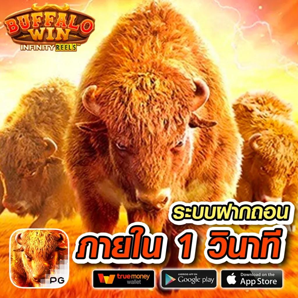 slot4king คาสิโนออนไลน์อันดับ1 รวมเกมสล็อตทันสมัย Free Spin เพิ่มทุนได้แล้ววันนี้